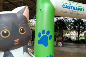 Programa Castramóvel promove esterilização de cães e gatos em Cambé