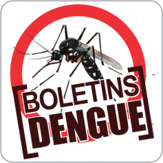 Boletins da Dengue