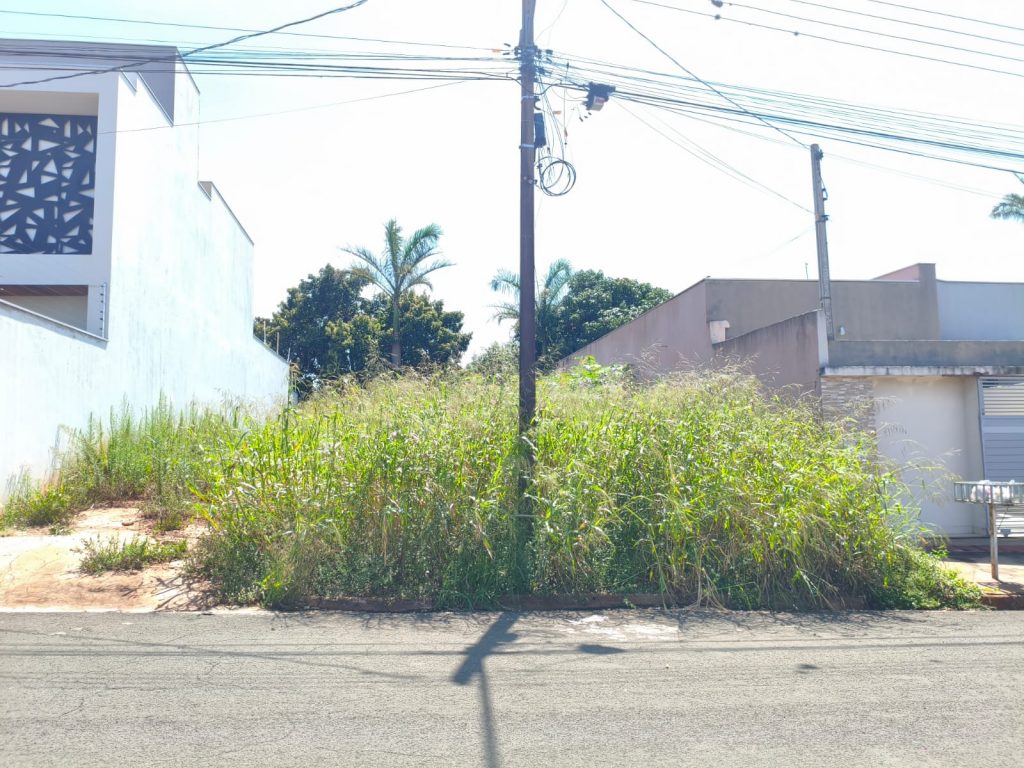 Prefeitura intensifica fiscalização contra mato alto e entulho em terrenos particulares