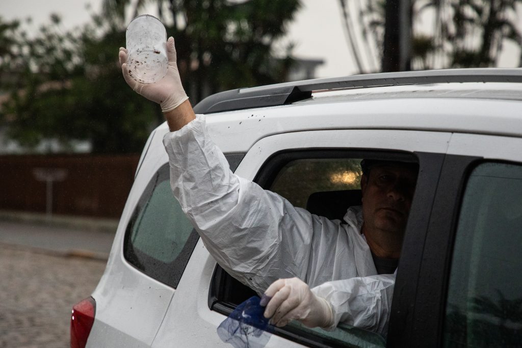 Método Wolbachia: Cambé inicia fase de liberação dos Wolbitos para controle e prevenção da dengue