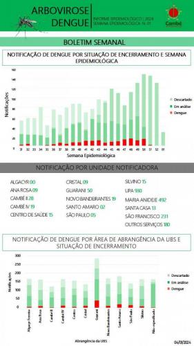 Boletim-2024-01-04-dengue-1