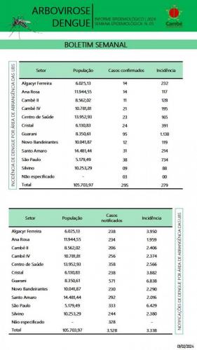 Boletim-2024-02-01-dengue-2