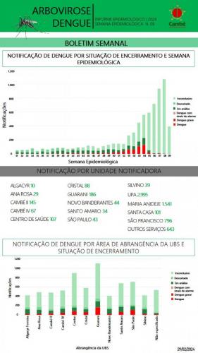 Boletim-2024-02-29-dengue-1